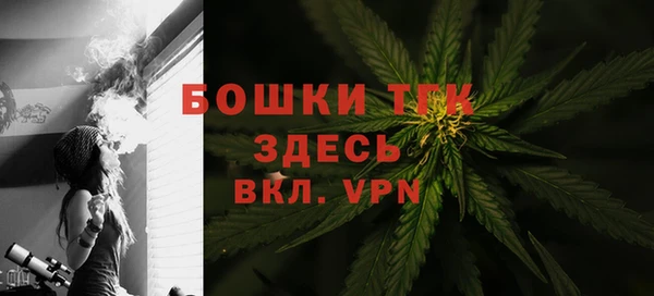 тгк Аркадак