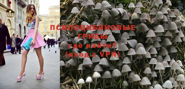 тгк Аркадак